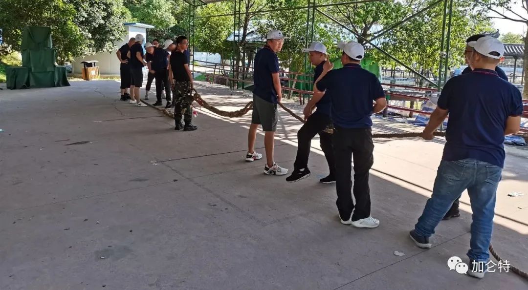 bbin·宝盈(中国)集团官方网站首页